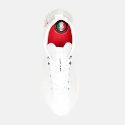 Avanti Vit>Duca del Cosma New
