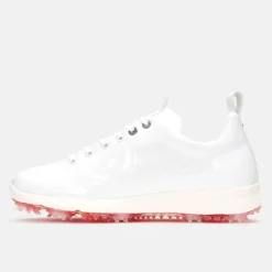 Avanti Vit>Duca del Cosma New