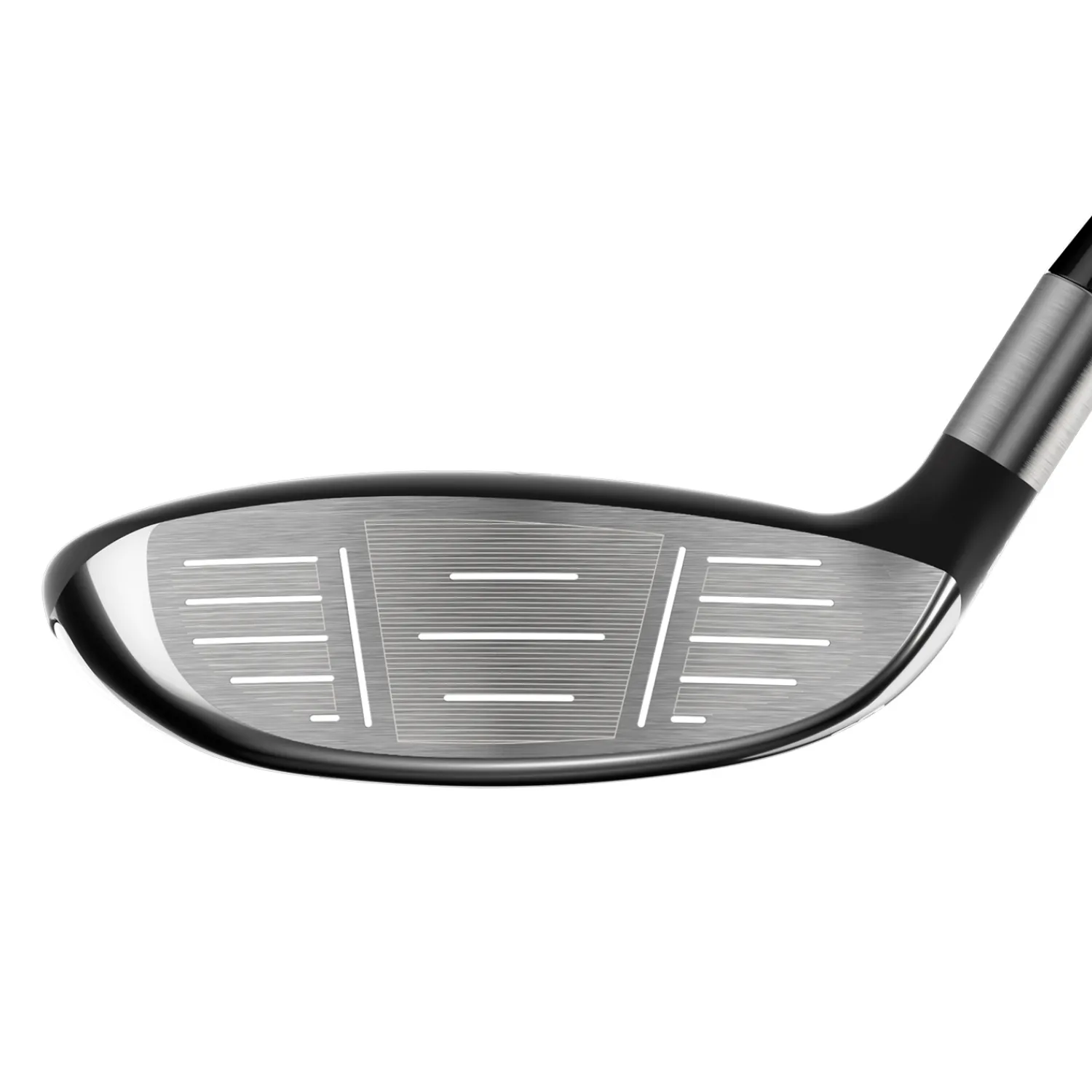 Rogue St Max 24>Callaway Hot