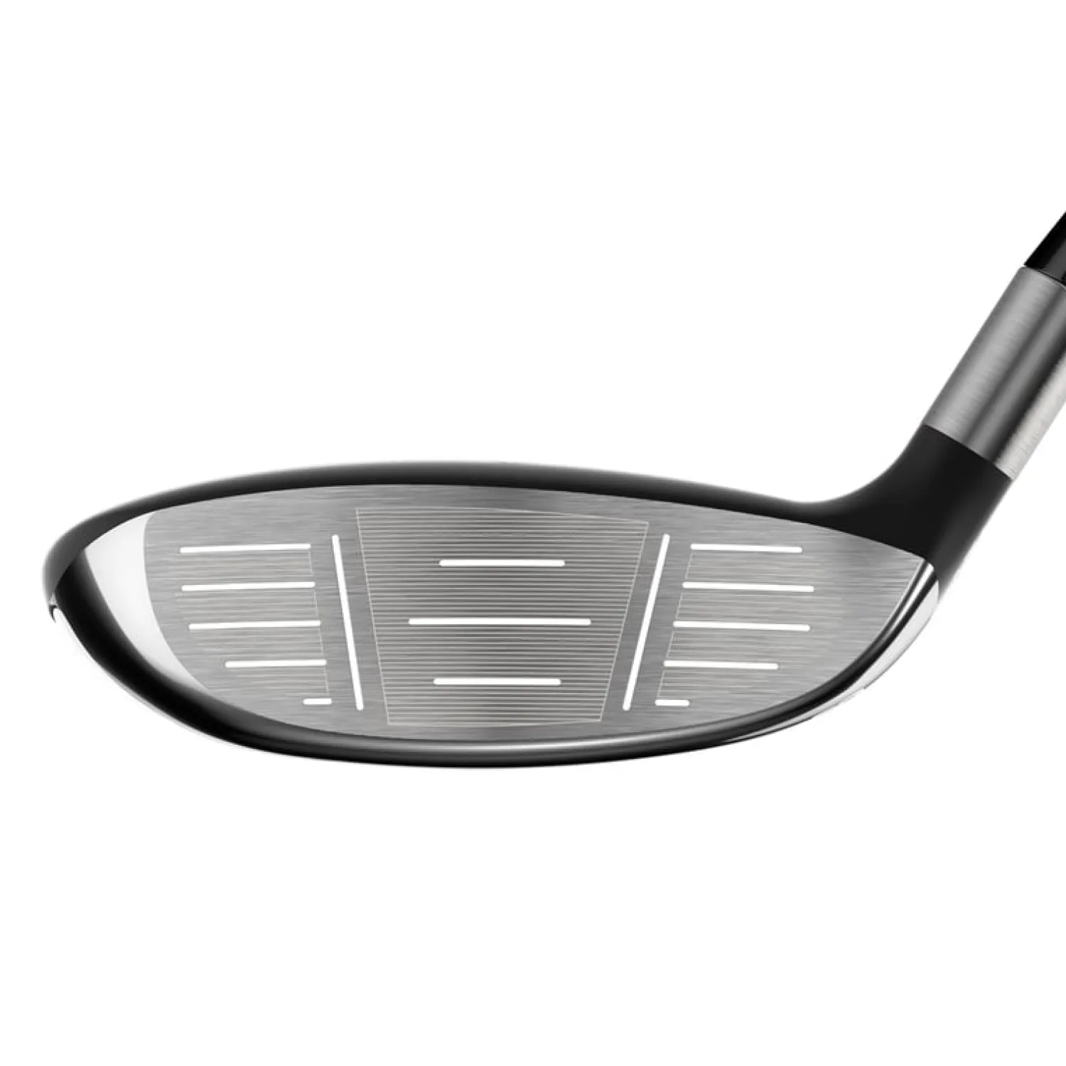 Rogue St Max 24>Callaway Hot