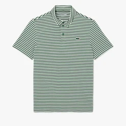 Thin Stripe Grön Vit>Lacoste New